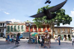 El vuelo infinito de los dias 2